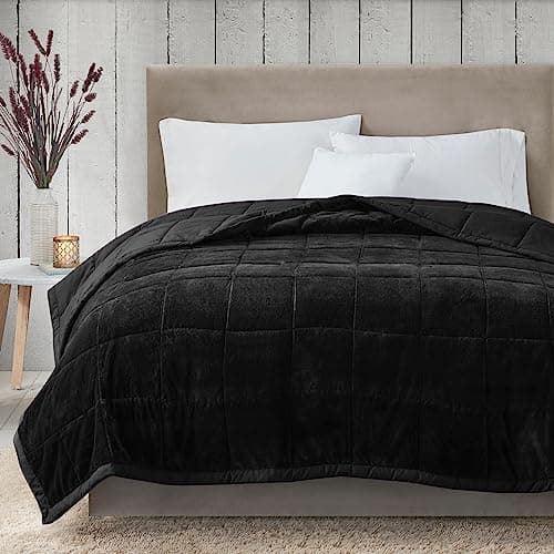 Madison Park Queen Cozy Blanke...ch and Sofa, Full/Queen, Black