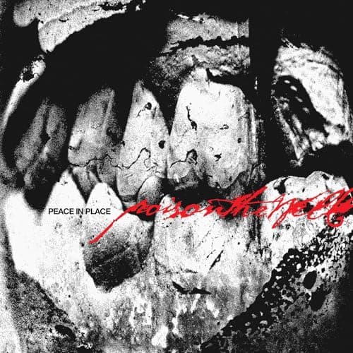 Peace In Place (jewel case)