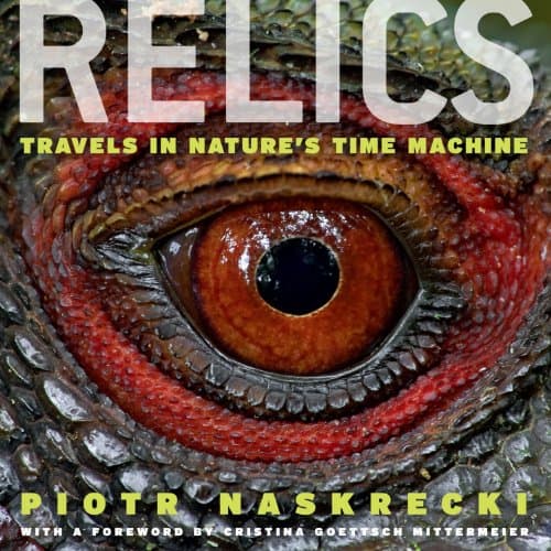 Relics: Travels in Nature's Time Machine