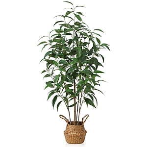 DR.Planzen Artificial Potted Plants: Ficus Tree From $25, Eucalyptus Tree From $36.30 & More