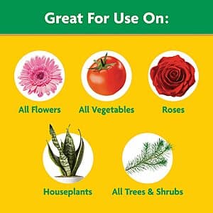 5-Lb Miracle-Gro Water Soluble All Purpose Plant Food $11.53 + Free Shipping w/ Prime or on $35+