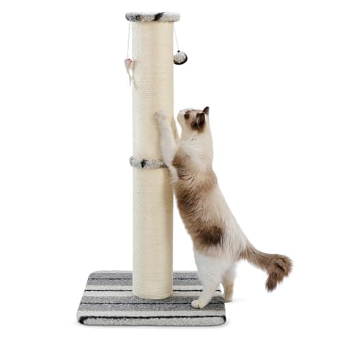 Cat Scratching Post Just $14.99 on Amazon (Reg. $40)